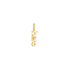 Vocabulary charm, vergoldet - HERO
