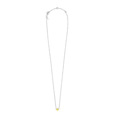 When life gives you lemons. Halskette, Silber